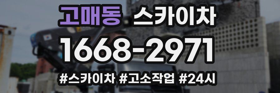 고매동 스카이차