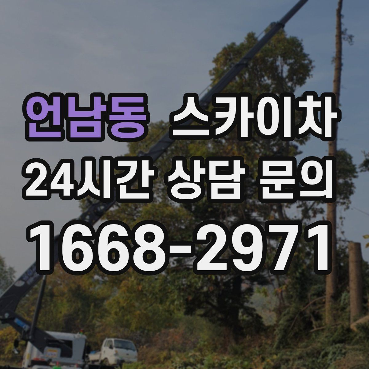 언남동 스카이차 공원 조명 시설 점검이 필요할 때