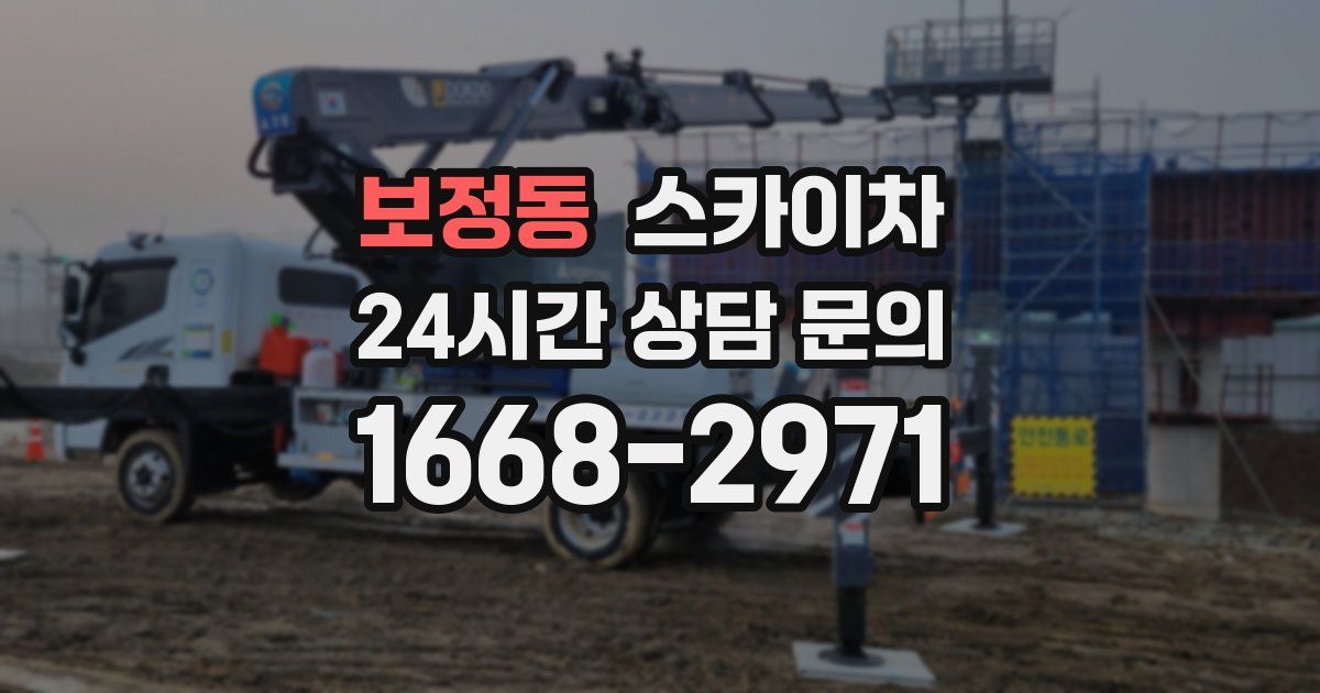 보정동 스카이차