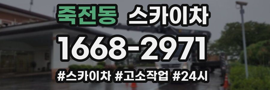 죽전동 스카이차