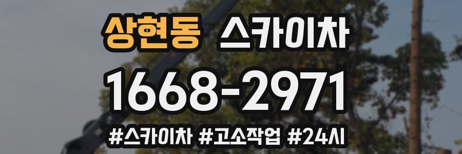 상현동 스카이차