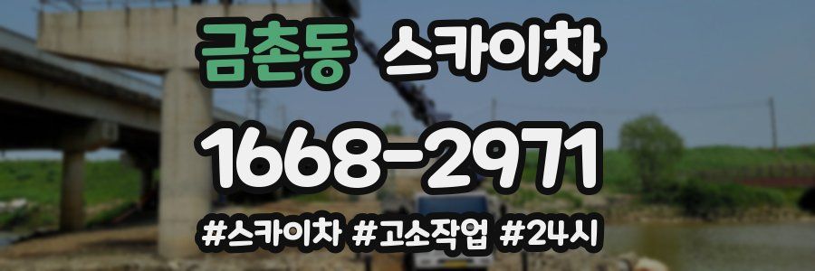 금촌동 스카이차