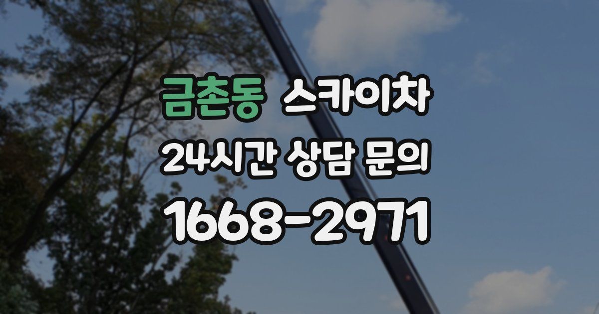 금촌동 스카이차
