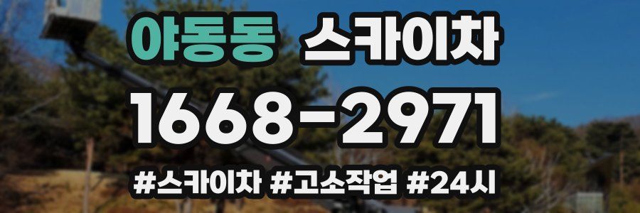야동동 스카이차