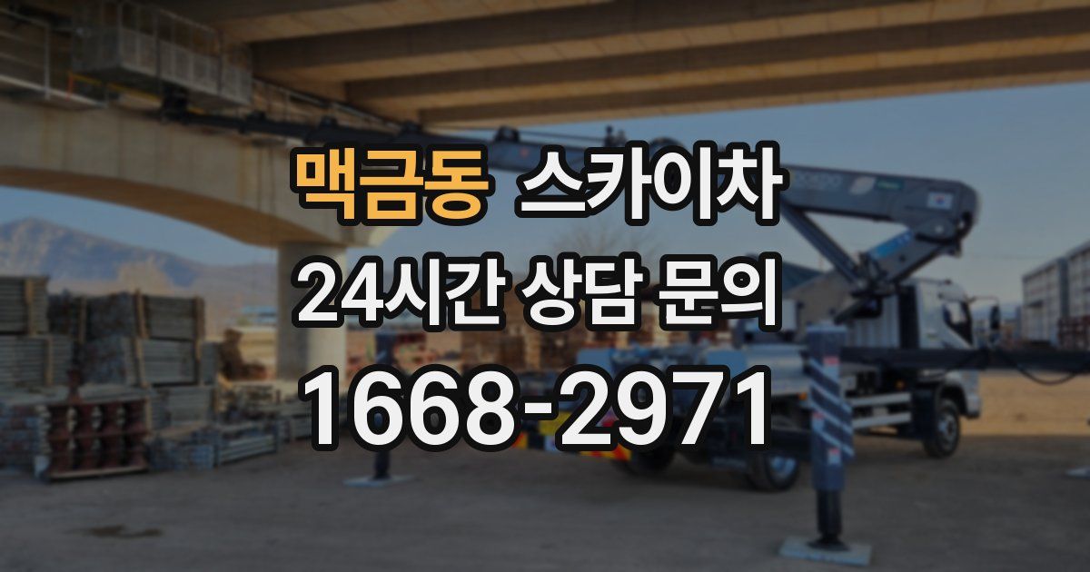 맥금동 스카이차