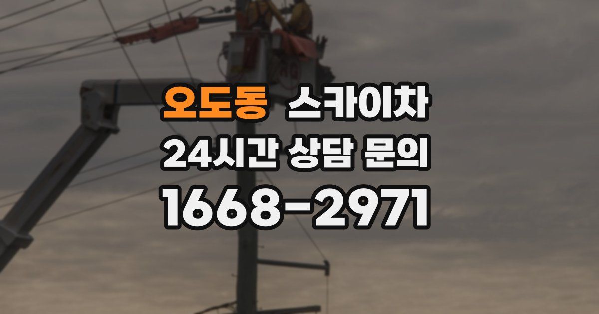 오도동 스카이차