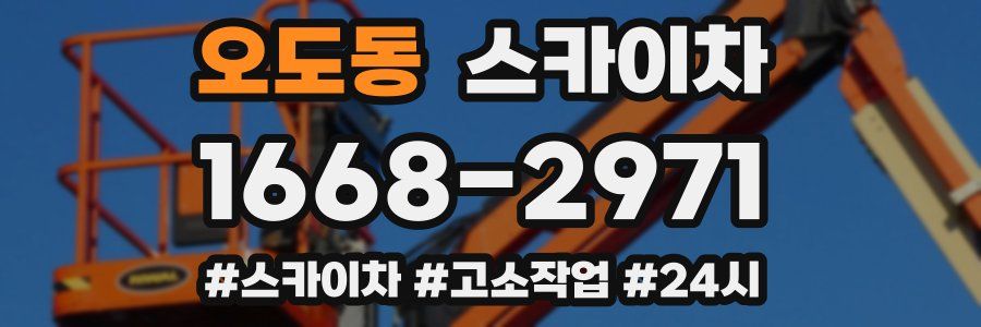 오도동 스카이차