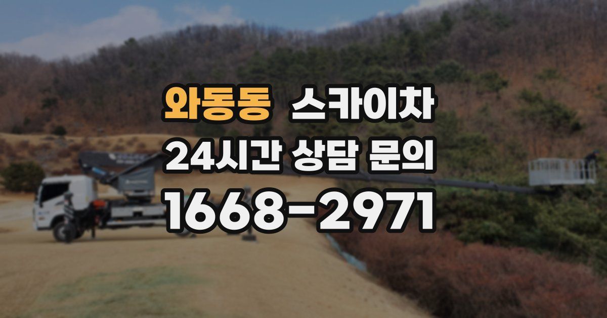 와동동 스카이차