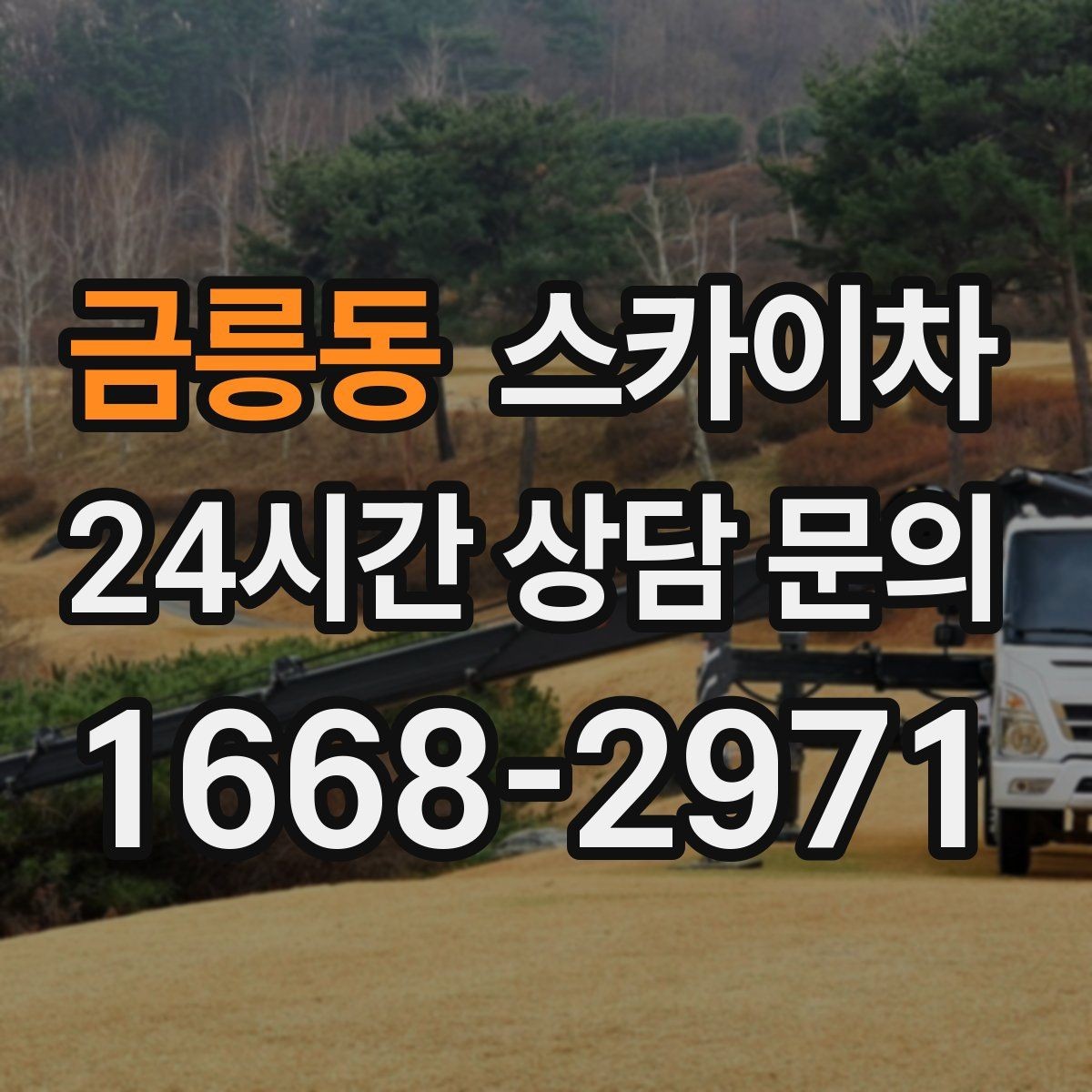 금릉동 스카이차 가로수 가지치기 작업 안전하게