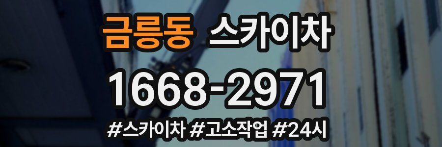 금릉동 스카이차