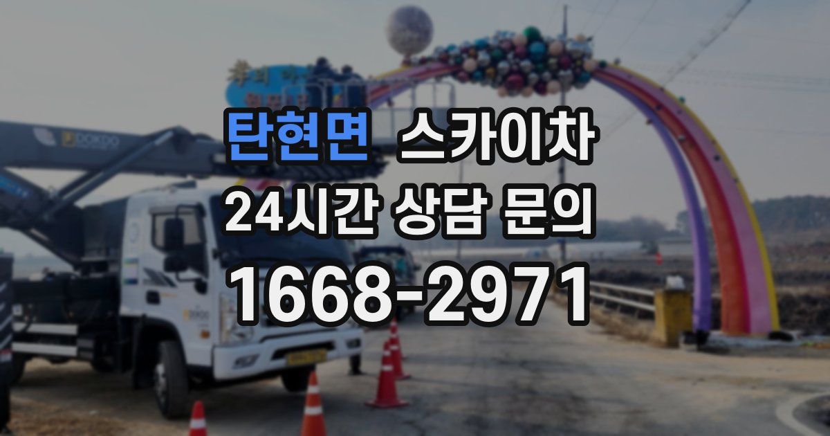 탄현면 스카이차