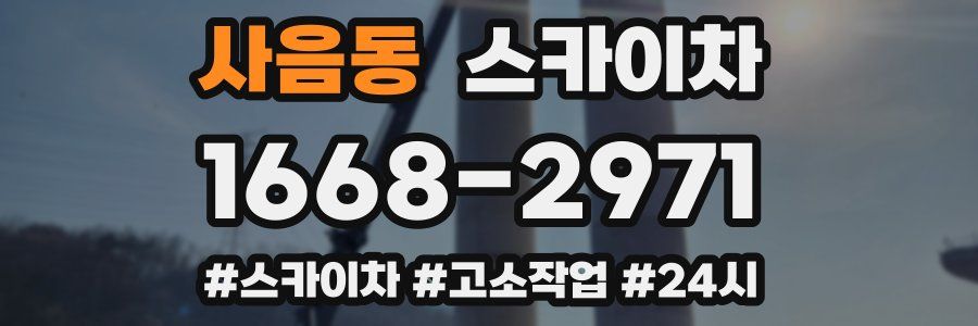 사음동 스카이차