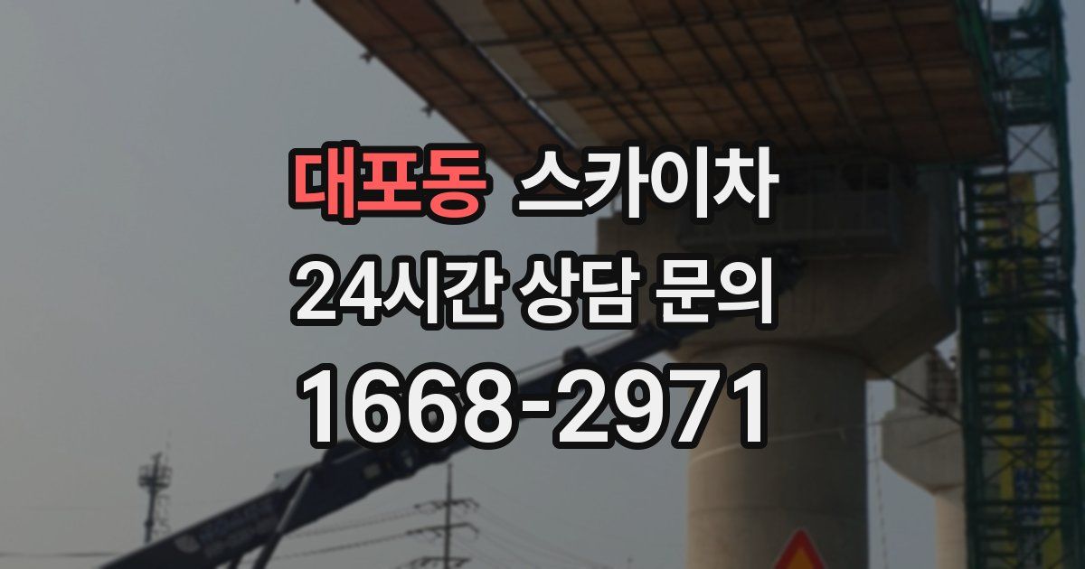 대포동 스카이차