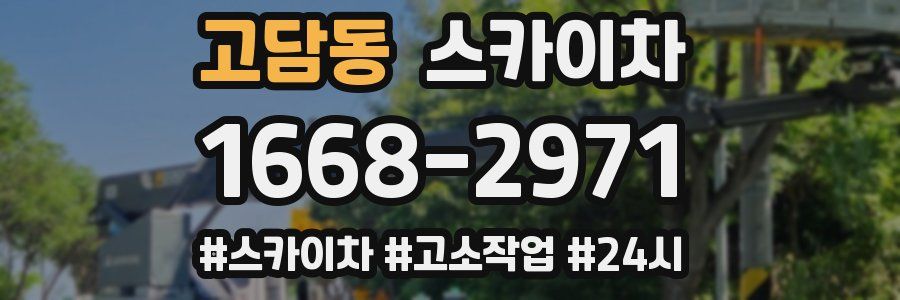 고담동 스카이차