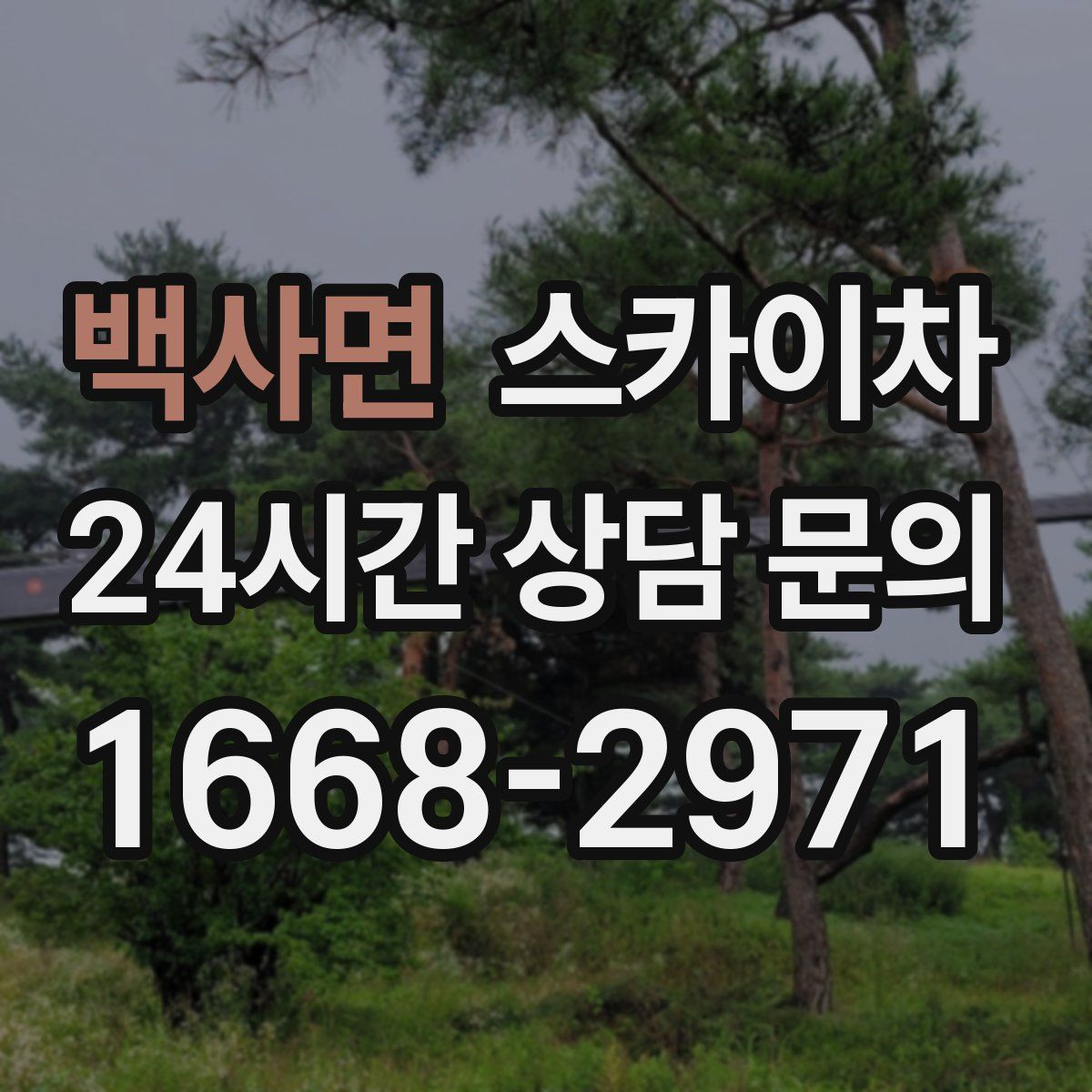 백사면 스카이차