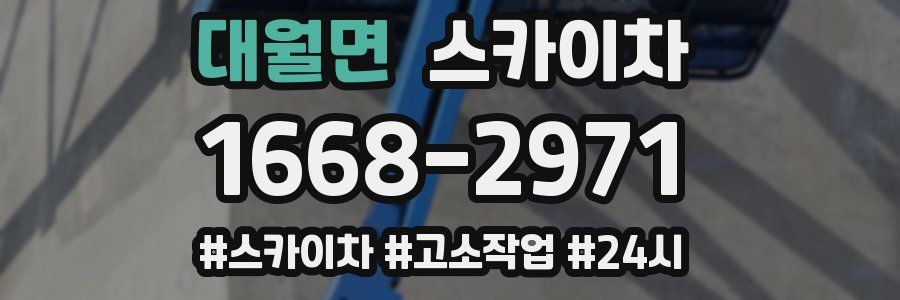 대월면 스카이차