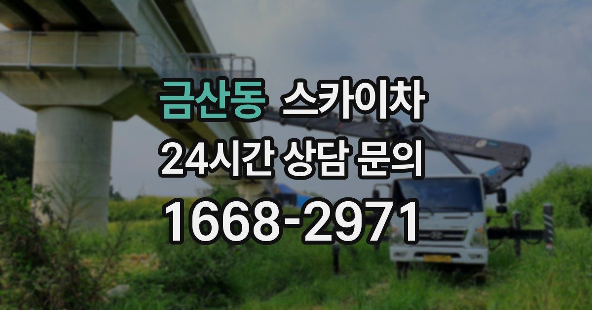 금산동 스카이차