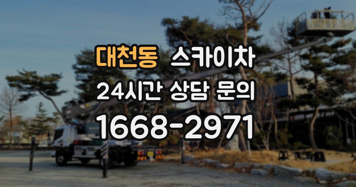 대천동 스카이차