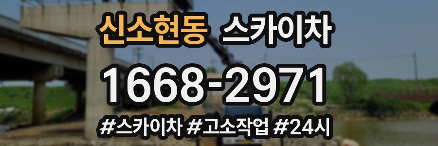 신소현동 스카이차