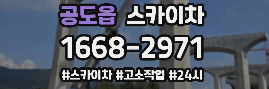 공도읍 스카이차