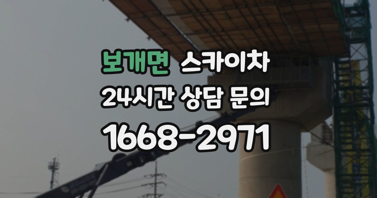 보개면 스카이차