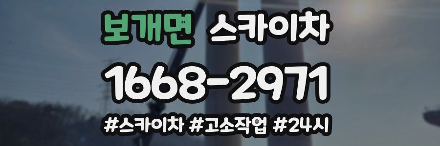 보개면 스카이차