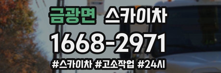 금광면 스카이차