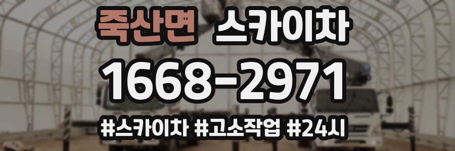 죽산면 스카이차