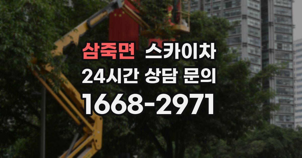 삼죽면 스카이차