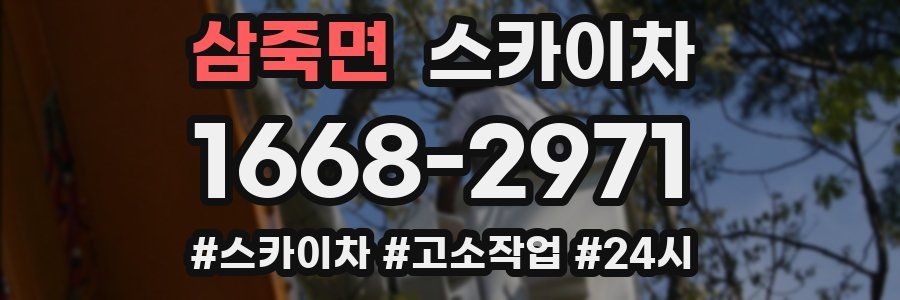 삼죽면 스카이차