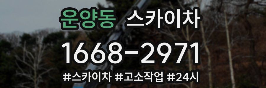 운양동 스카이차