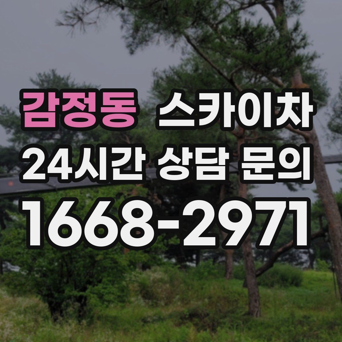감정동 스카이차 행사 후 현수막 철거를 빠르게