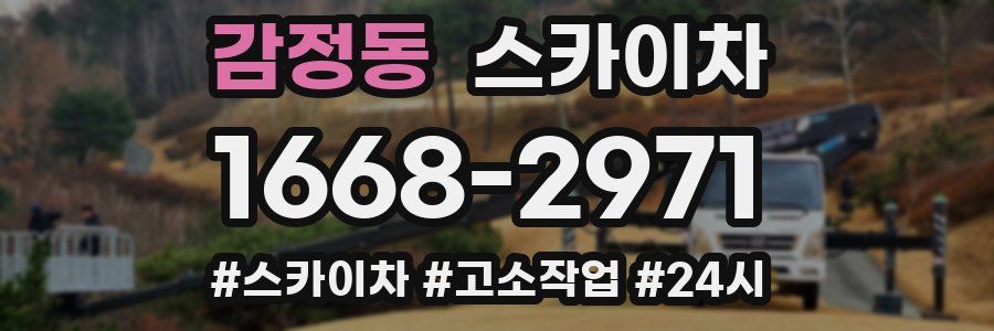 감정동 스카이차