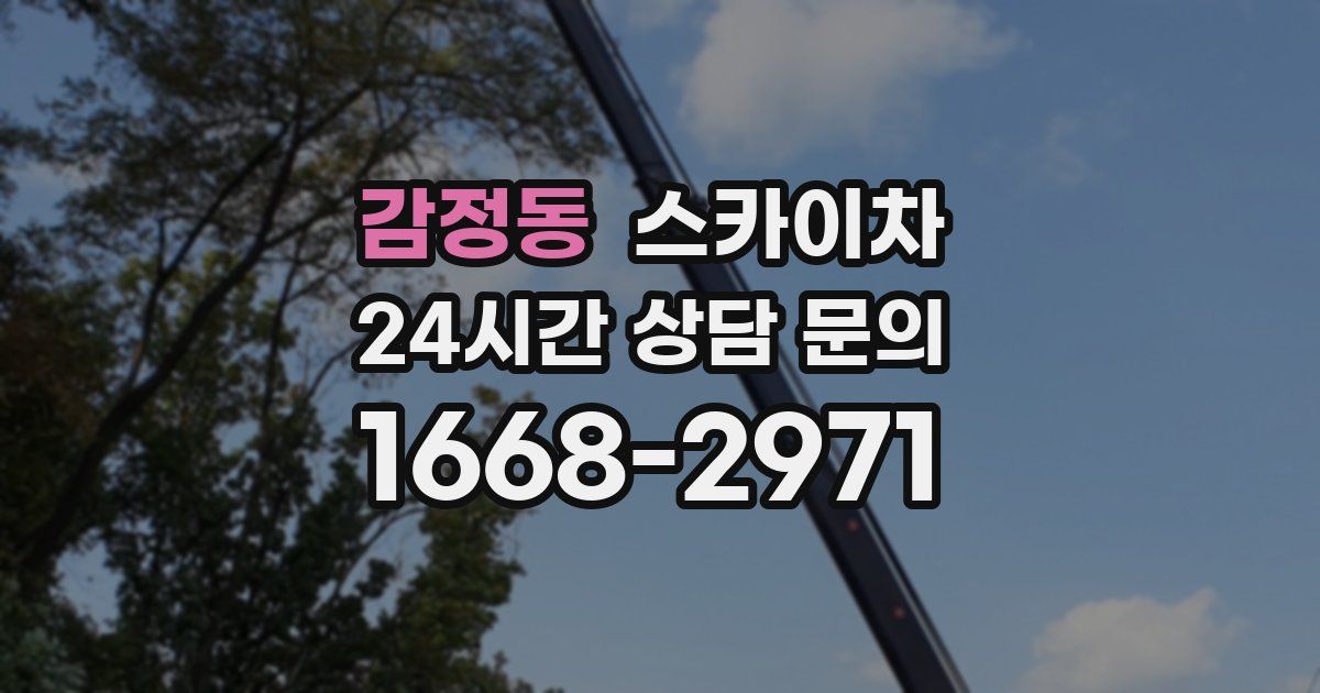 감정동 스카이차