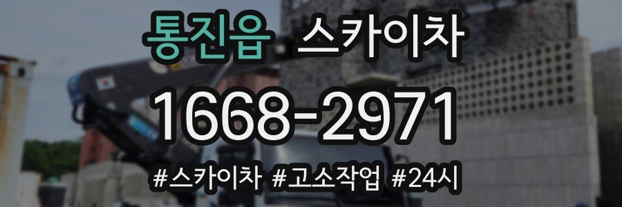 통진읍 스카이차