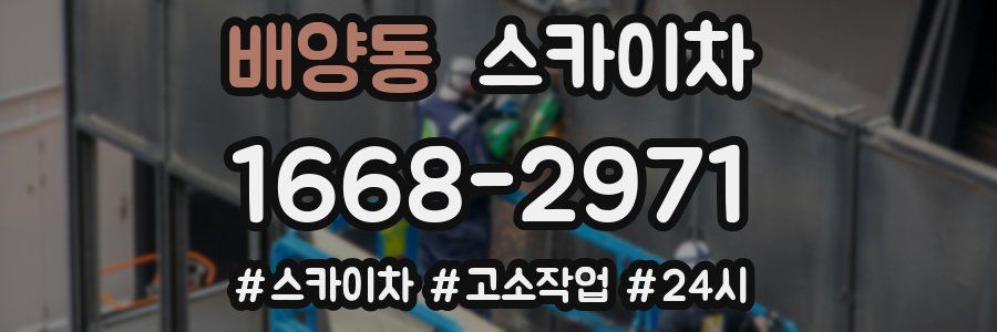 배양동 스카이차