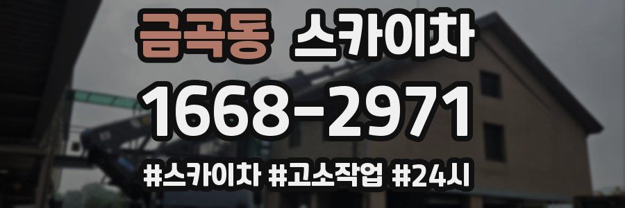 금곡동 스카이차