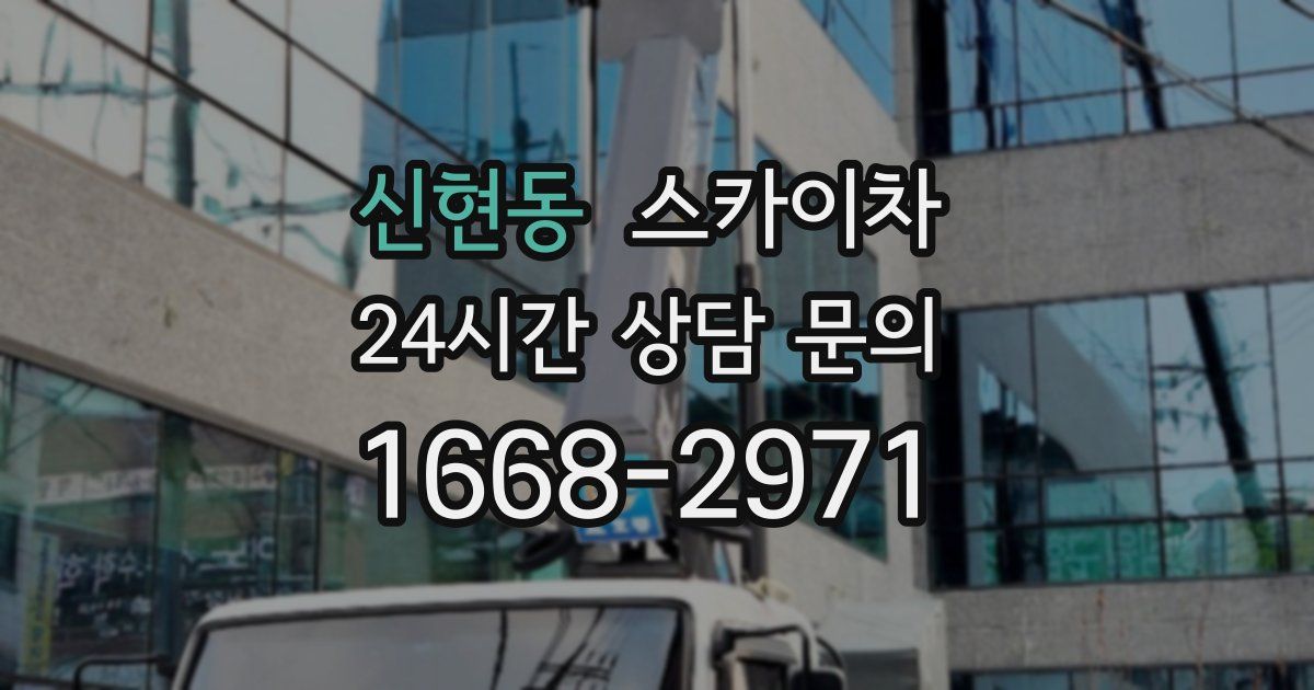 신현동 스카이차