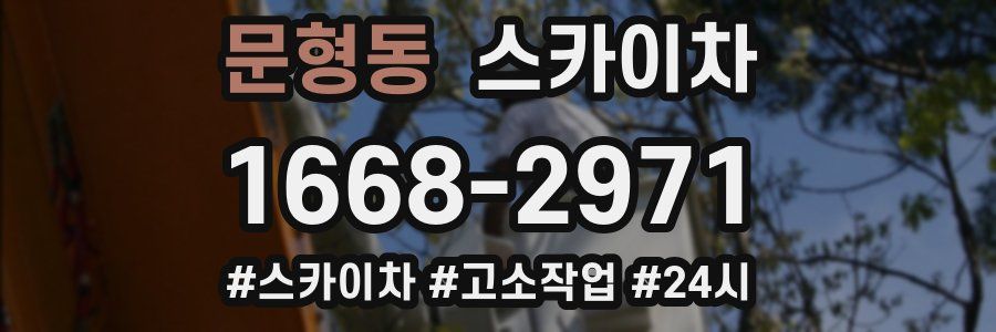 문형동 스카이차