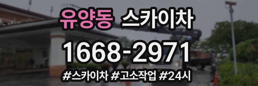 유양동 스카이차