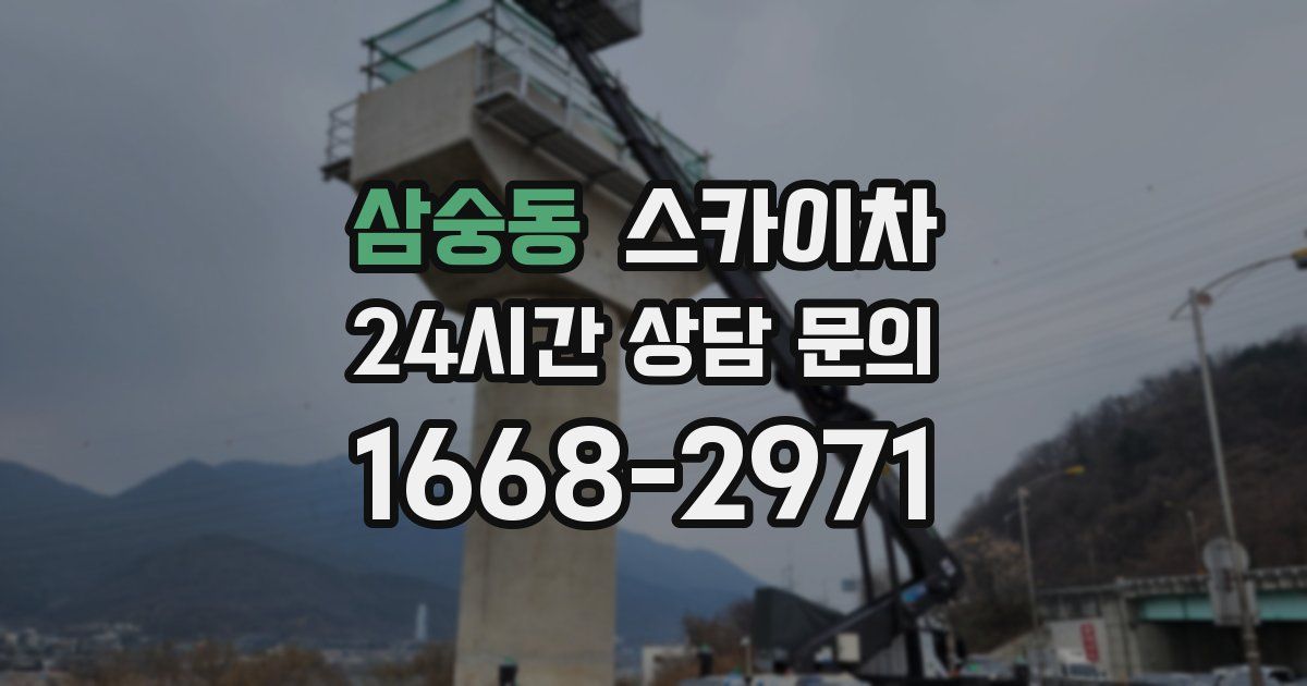 삼숭동 스카이차