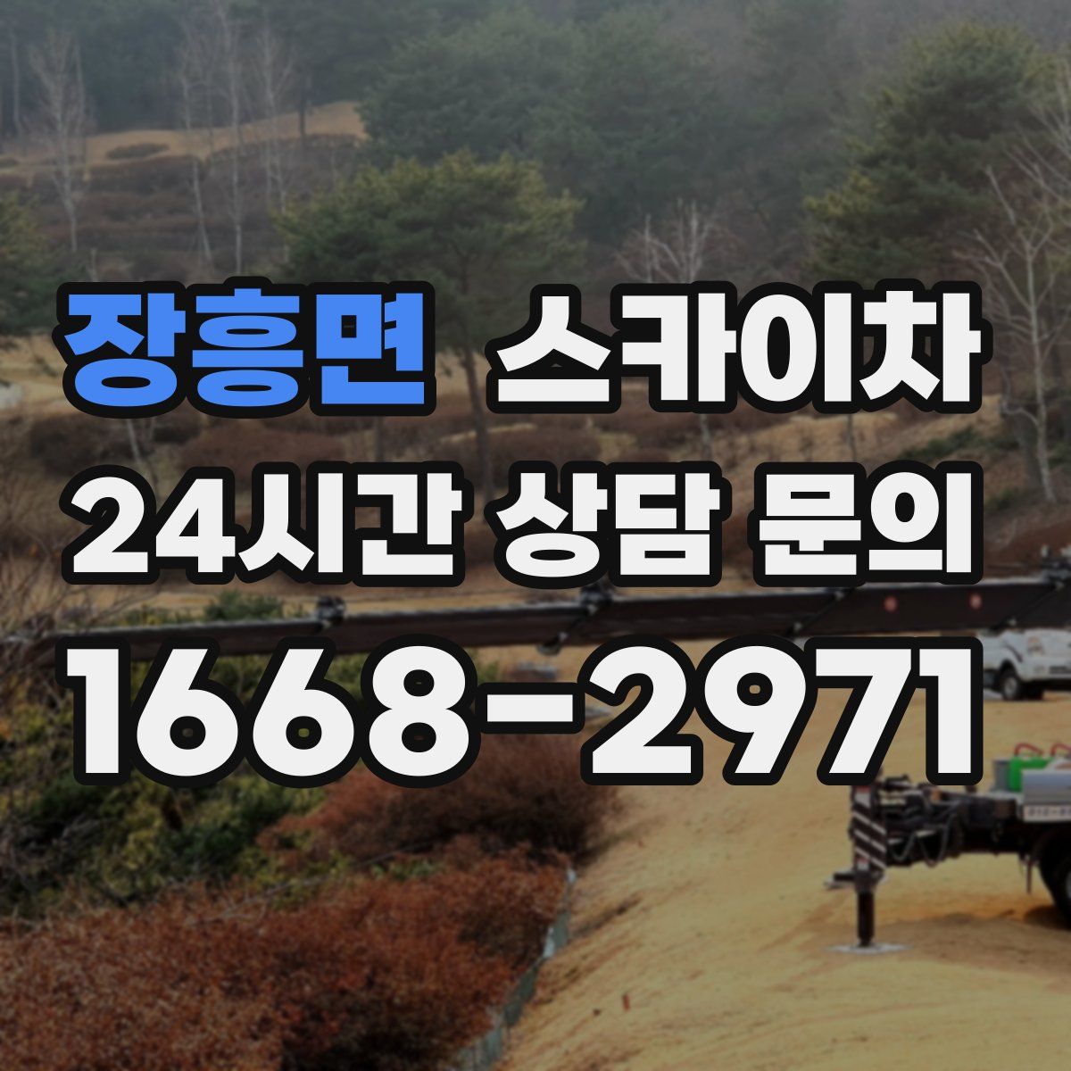 장흥면 스카이차