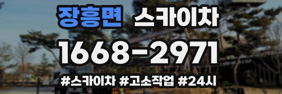 장흥면 스카이차