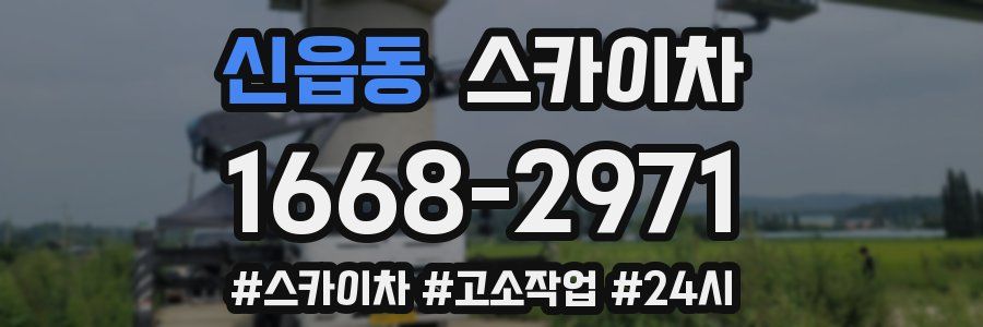 신읍동 스카이차