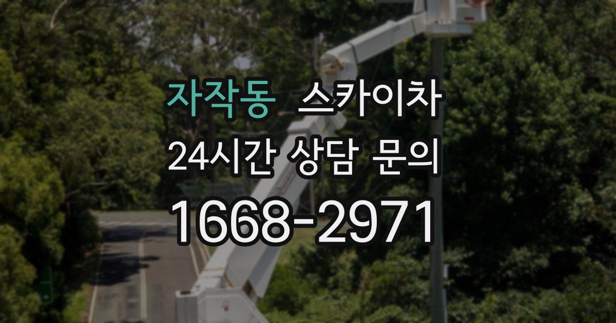 자작동 스카이차