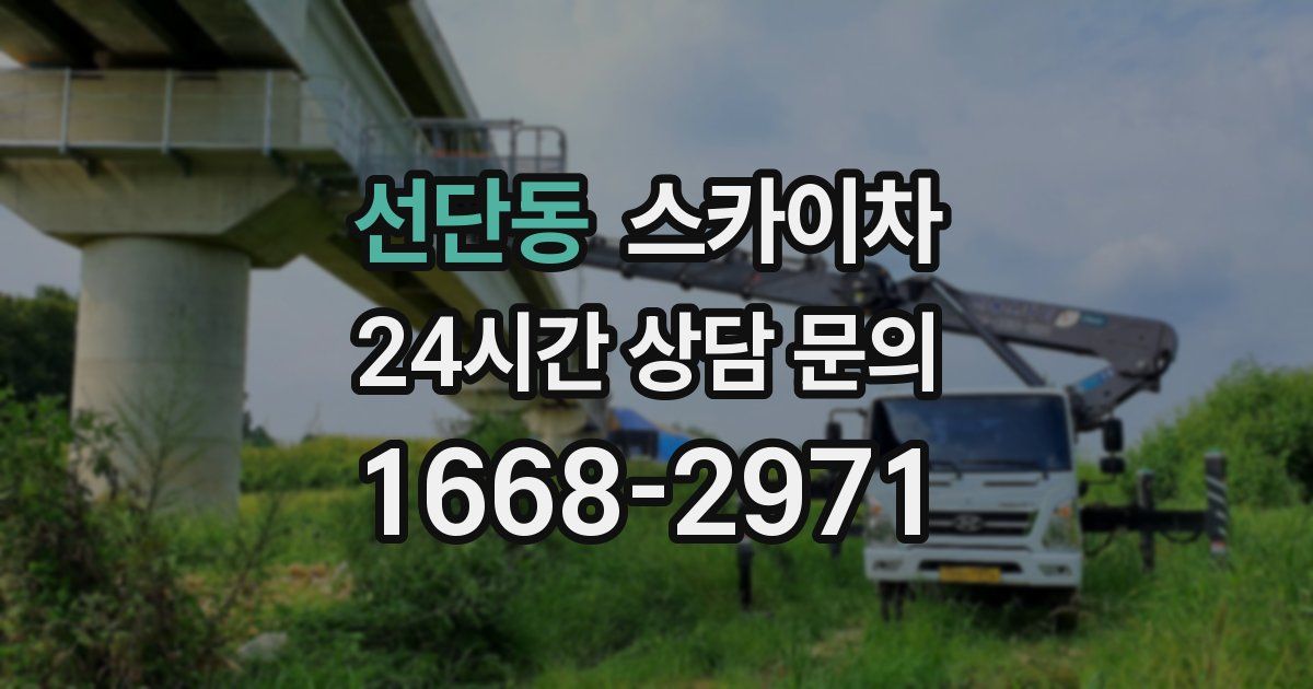 선단동 스카이차