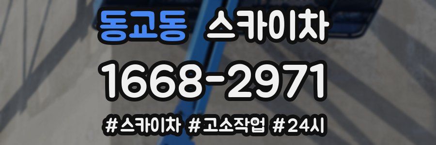 동교동 스카이차