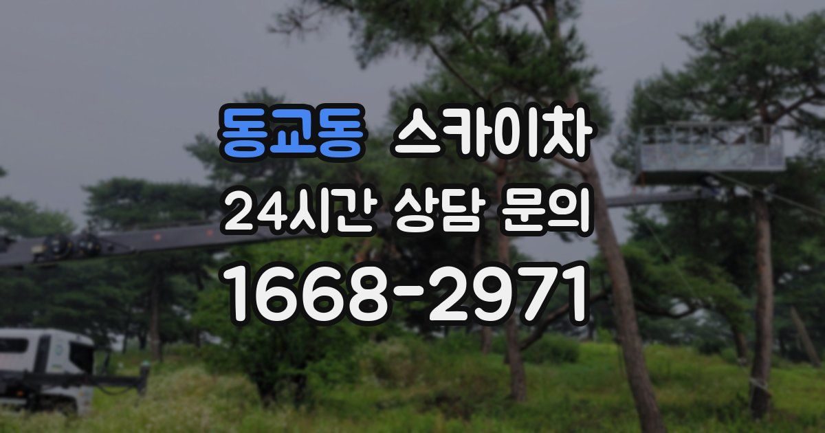 동교동 스카이차