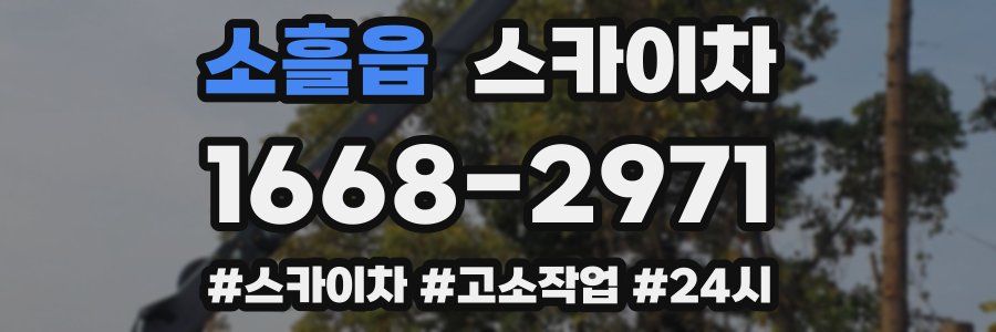 소흘읍 스카이차