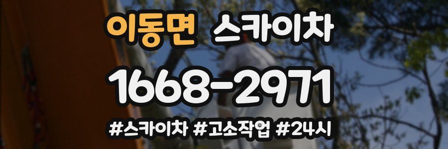 이동면 스카이차